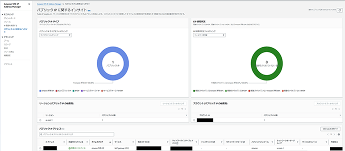 Public IP Insights画面