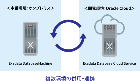 利用イメージ：Exadata